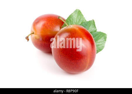 Rote Pflaumen mit Blättern auf weißem Hintergrund Stockfoto