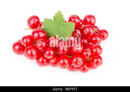 Rote Johannisbeere Beeren mit Blatt auf weißem Hintergrund Stockfoto