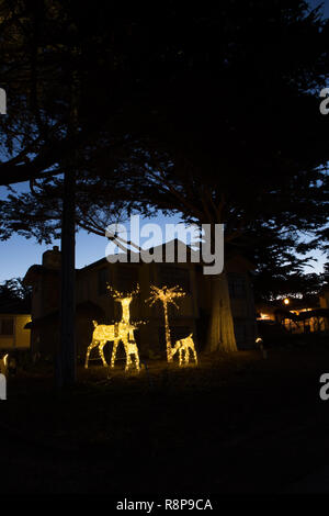 Outdoor Weihnachtsschmuck der beleuchteten raindeer in Cambria, Kalifornien, Stockfoto