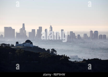 Hazy am frühen Morgen Blick auf die Innenstadt von Los Angeles aus beliebten Griffith Park über Hollywood, Kalifornien. Stockfoto