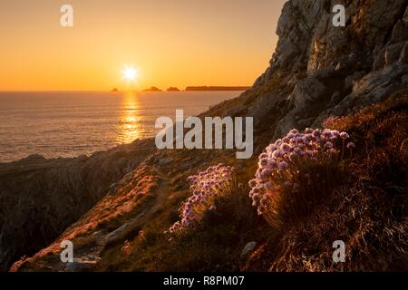 Frankreich, Finistere, regionale natürliche Armoric Park, Crozon, Dinan Cape, Sonnenuntergang Blick von Dinan Kap an der Spitze Penhir Felsen Stockfoto