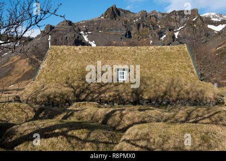 Island, South East Island, austurland Region, Hof, Hofskirkja Rasen Kirche Stockfoto