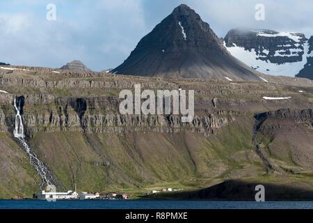 Island, Westfjorde, Vestfirdir Region, Reykjarfjordur, Djupavik Stockfoto