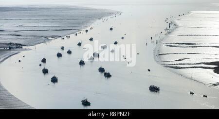 Frankreich, Charente Maritime, Charron, Muscheln Boote in der Sevre Niortaise Mündung (Luftbild) Stockfoto