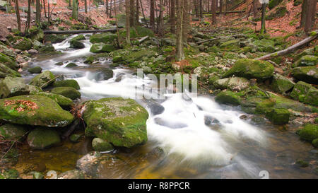 Ein Bach in den Bergen in das Riesengebirge in Polen. Stockfoto