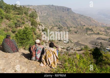 Äthiopien, Rift Valley, Debre Libanos, Gelada oder Gelada baboon (Theropithecus gelada), Äthiopier beobachtete eine Gruppe von Weibchen mit Jungen und Männer in der Nähe von der Klippe, wo Sie die Nacht verbringen Stockfoto