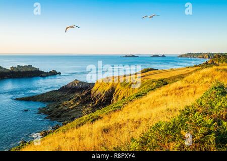 Frankreich, Ille-et-Vilaine, Costa Smeralda, Cancale, Panorama von Pointe du Grouin, rimains Insel im Hintergrund Stockfoto