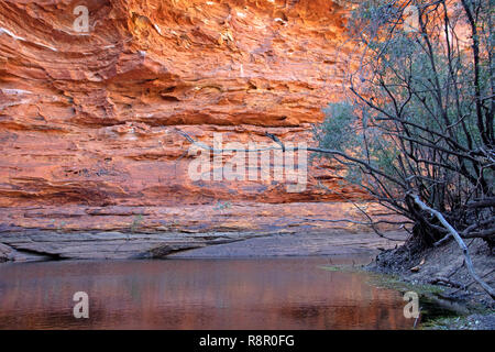 Der Garten Eden in Kings Canyon Stockfoto