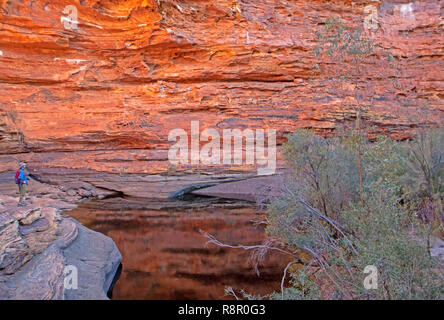 Der Garten Eden in Kings Canyon Stockfoto