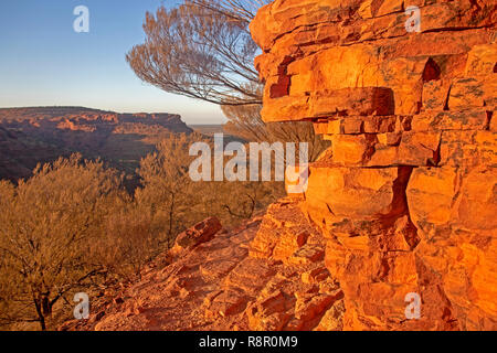 Sonnenaufgang am Kings Canyon Stockfoto