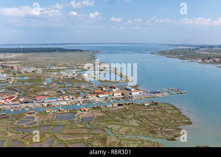 Frankreich, Charente Maritime, Royan, La Tremblade Kanal und die seudre Mündung (Luftbild) Stockfoto