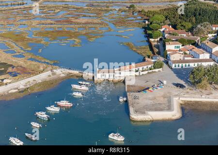 Frankreich, Charente Maritime, Ile de Re, La Couarde-sur-Mer, der Hafen und die Tide Mill (Luftbild) Stockfoto