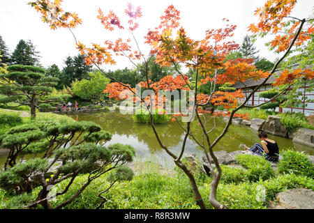 Frankreich, Pays de La Loire, Nantes, Ile de Nantes, der Japanische Garten auf der Insel von Versailles Stockfoto