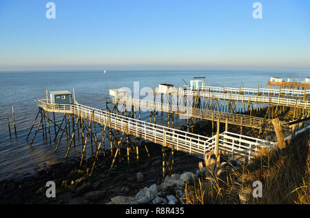 Frankreich, Charente Maritime, Mündung der Gironde, Talmont sur Gironde, Les Plus beaux villages de France (Schönste Dörfer Frankreichs), Senknetze (Fisherman's Hut) unter der Caillaud Klippen Stockfoto