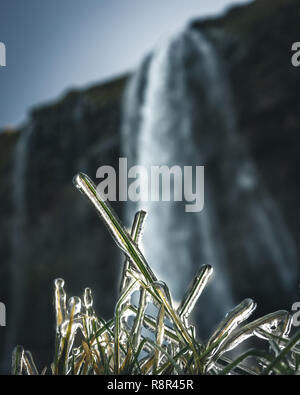 Island - Seljalandfoss von Unten Stockfoto