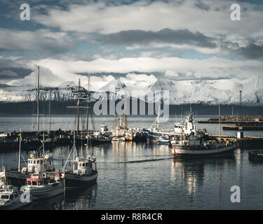 Island - Husavik Hafen Stockfoto