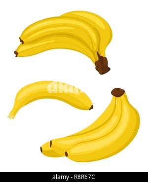Banane eingestellt. Trauben von frischen Bananen Früchte und single Banane auf weißem Hintergrund, Sammlung von Vektorgrafiken Stock Vektor