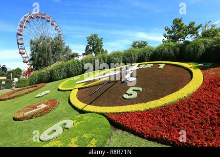 Schweiz, Genf, Englischer Garten, die Blumenuhr Stockfoto