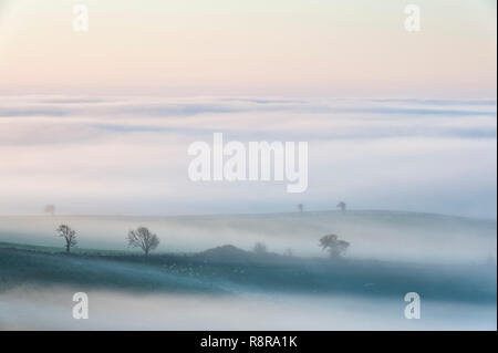 An der Grenze zwischen England und Wales in der Nähe von Knighton, Powys, UK. Am frühen Morgen Blick über Herefordshire, die die Täler mit dichten Nebel gefüllt Stockfoto