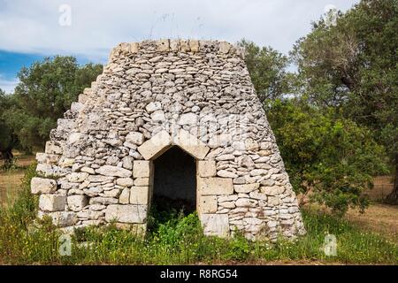 Italien, Apulien, Salento, Otranto, trockenen Umgebung der Hütte aus Stein verwendet als Unterschlupf unter Olivenbäumen Stockfoto