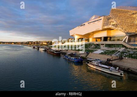 Frankreich, Rhône, Lyon, 2. Arrondissement, La Confluence Bezirk, Museum der Confluences, Architekten Coop Himmelb(l) an Wolf D. Prix&Partner, Le Rhône Stockfoto