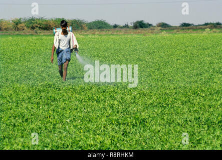 Bauer das Sprühen von Pestiziden in Boden Mutter Felder, Indien Stockfoto