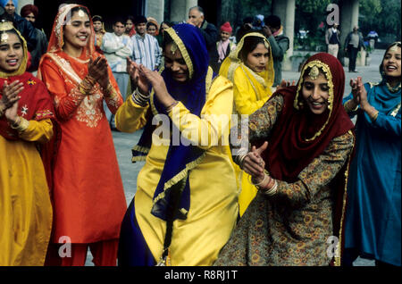 Volkstanz, Frauen Bhangra Tanz, Chandigarh, Indien Stockfoto