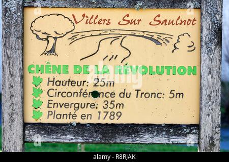 Frankreich, Haute Saône, Villers-sur-Saulnot, Eiche der Revolution, Panel in der Mitte des Dorfes, der Baum fiel im Jahr 2012 Stockfoto