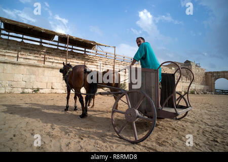 Schlacht römische chariot mit einem Reiter. Unterhaltung für Touristen, die an den Wänden der alten Stadt Jarash. Jordan. 25. Oktober 2018 Stockfoto