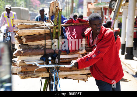 Rift Valley: Ein junger Mann, der Holz auf seinem Fahrrad durch die Straßen der Stadt Eldoret Stockfoto