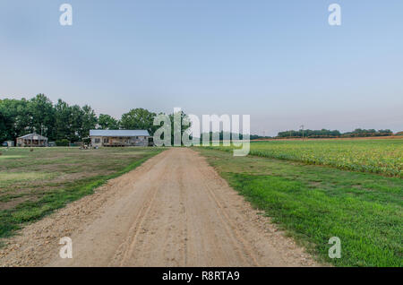 Eine Schmutz- und Schotterpiste führt zu Tallahatchie Wohnungen in Tupelo, Mississippi. Stockfoto