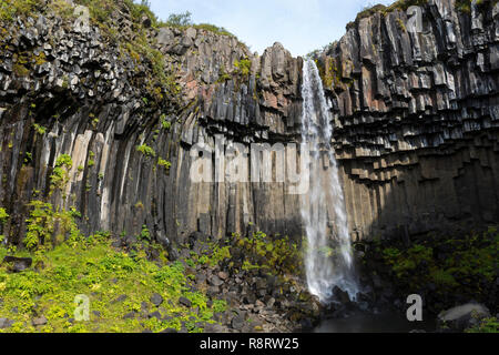 Wasserfall Svartifoss, der skaftafell-nationalpark chwarzer Wasserfall', im Südwest Inseln, den Vatnajökull Nationalpark, Stórilaekur stürzt über eine Fels Stockfoto