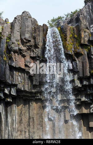 Wasserfall Svartifoss, der skaftafell-nationalpark chwarzer Wasserfall', im Südwest Inseln, den Vatnajökull Nationalpark, Stórilaekur stürzt über eine Fels Stockfoto