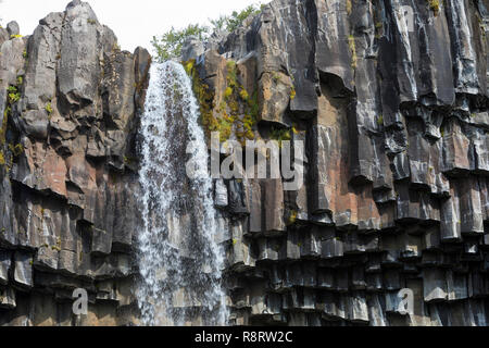 Wasserfall Svartifoss, der skaftafell-nationalpark chwarzer Wasserfall', im Südwest Inseln, den Vatnajökull Nationalpark, Stórilaekur stürzt über eine Fels Stockfoto