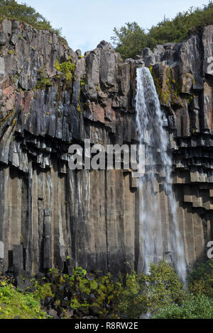 Wasserfall Svartifoss, der skaftafell-nationalpark chwarzer Wasserfall', im Südwest Inseln, den Vatnajökull Nationalpark, Stórilaekur stürzt über eine Fels Stockfoto