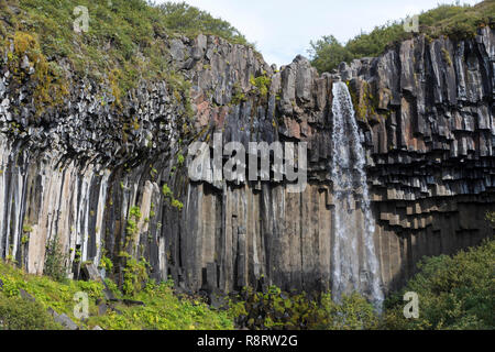 Wasserfall Svartifoss, der skaftafell-nationalpark chwarzer Wasserfall', im Südwest Inseln, den Vatnajökull Nationalpark, Stórilaekur stürzt über eine Fels Stockfoto