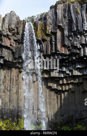 Wasserfall Svartifoss, der skaftafell-nationalpark chwarzer Wasserfall', im Südwest Inseln, den Vatnajökull Nationalpark, Stórilaekur stürzt über eine Fels Stockfoto