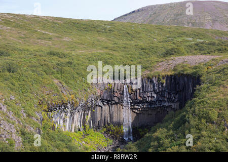 Wasserfall Svartifoss, der skaftafell-nationalpark chwarzer Wasserfall', im Südwest Inseln, den Vatnajökull Nationalpark, Stórilaekur stürzt über eine Fels Stockfoto