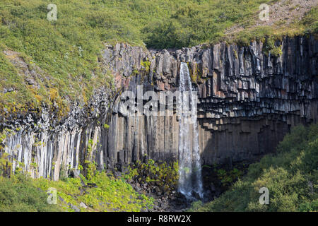 Wasserfall Svartifoss, der skaftafell-nationalpark chwarzer Wasserfall', im Südwest Inseln, den Vatnajökull Nationalpark, Stórilaekur stürzt über eine Fels Stockfoto