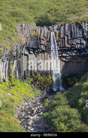 Wasserfall Svartifoss, der skaftafell-nationalpark chwarzer Wasserfall', im Südwest Inseln, den Vatnajökull Nationalpark, Stórilaekur stürzt über eine Fels Stockfoto