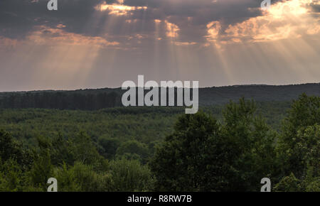Sonnenstrahlen Stockfoto