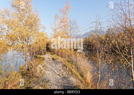 Autumnal banks of Old Rhine - Altach, Vorarlberg, Austria Stockfoto