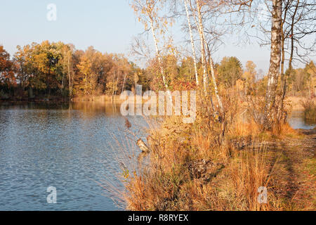 Autumnal banks of Old Rhine - Altach, Vorarlberg, Austria Stockfoto