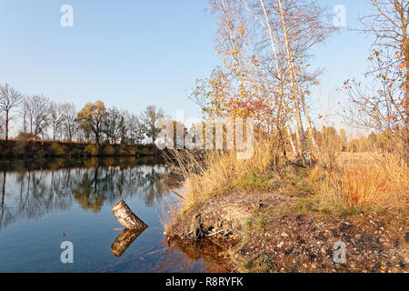 Autumnal banks of Old Rhine - Altach, Vorarlberg, Austria Stockfoto