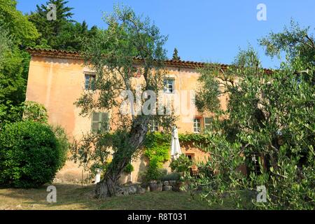 Frankreich, Alpes Maritimes (06), Peymeinade, Domaine du Mas de l'Olivin, Au Pays d'Audrey Stockfoto