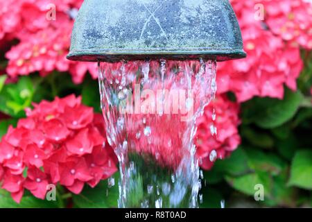 Schweiz, Genf, Treille Promenade Stockfoto