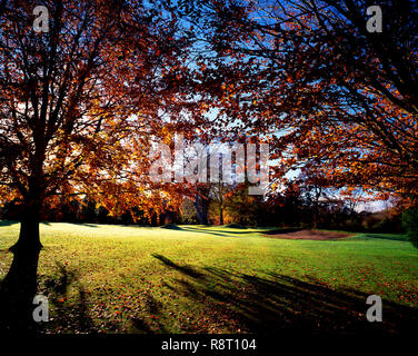 Belvoir Park Golf Club Stockfoto