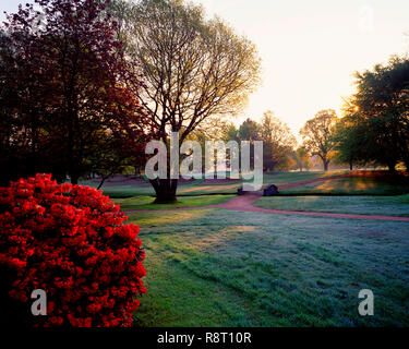 8. Loch an Belvoir Park Golf Club Stockfoto