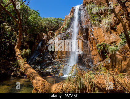 Schönen Wasserfall fällt aus eine rostige Farbe Klippe im immergrünen Wald hinter einer Kiefer. Ein Ufer in der Nähe von Canala und Nakety, Nord Provinz neue Ca Stockfoto