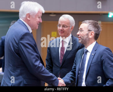 06. Dezember 2018, Belgien, Brüssel: 06.12.2018, Belgien, Brüssel: Deutscher Innenminister, Bau und Gemeinschaft Horst Lorenz Seehofer (L) im Gespräch mit dem Bundesminister des Innern, Präsident des Rates Herbert Kickl (R) vor der EU-Innenminister Konferenz im Justus-Lipsius-Gebäude, das europäische Hauptquartier des Rates, am 6. Dezember in Brüssel, Belgien 2018. Die Minister werden voraussichtlich einen Vorschlag für eine Verordnung über den Europäischen Grenzschutz und Küstenwache zu diskutieren. Herbert Kickl ist Mitglied der Freiheitlichen Partei Österreichs (FP), eine rechts-populistische und nationalen - Conserva Stockfoto